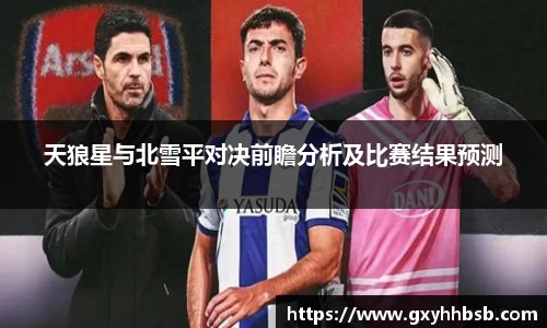 天狼星与北雪平对决前瞻分析及比赛结果预测